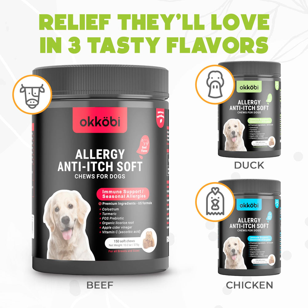 OKKÖBI dog allergy chews hero image conveys comfort after meals.