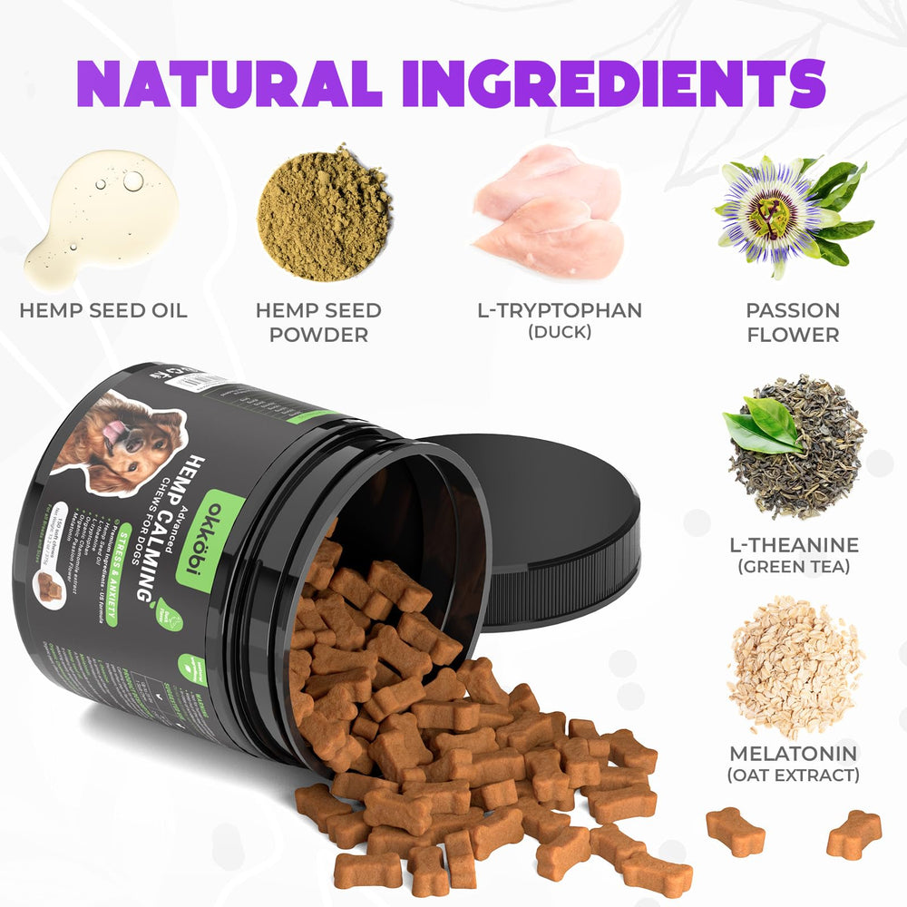 Relaxed dog after OKKÖBI chews demonstrating calming potential.