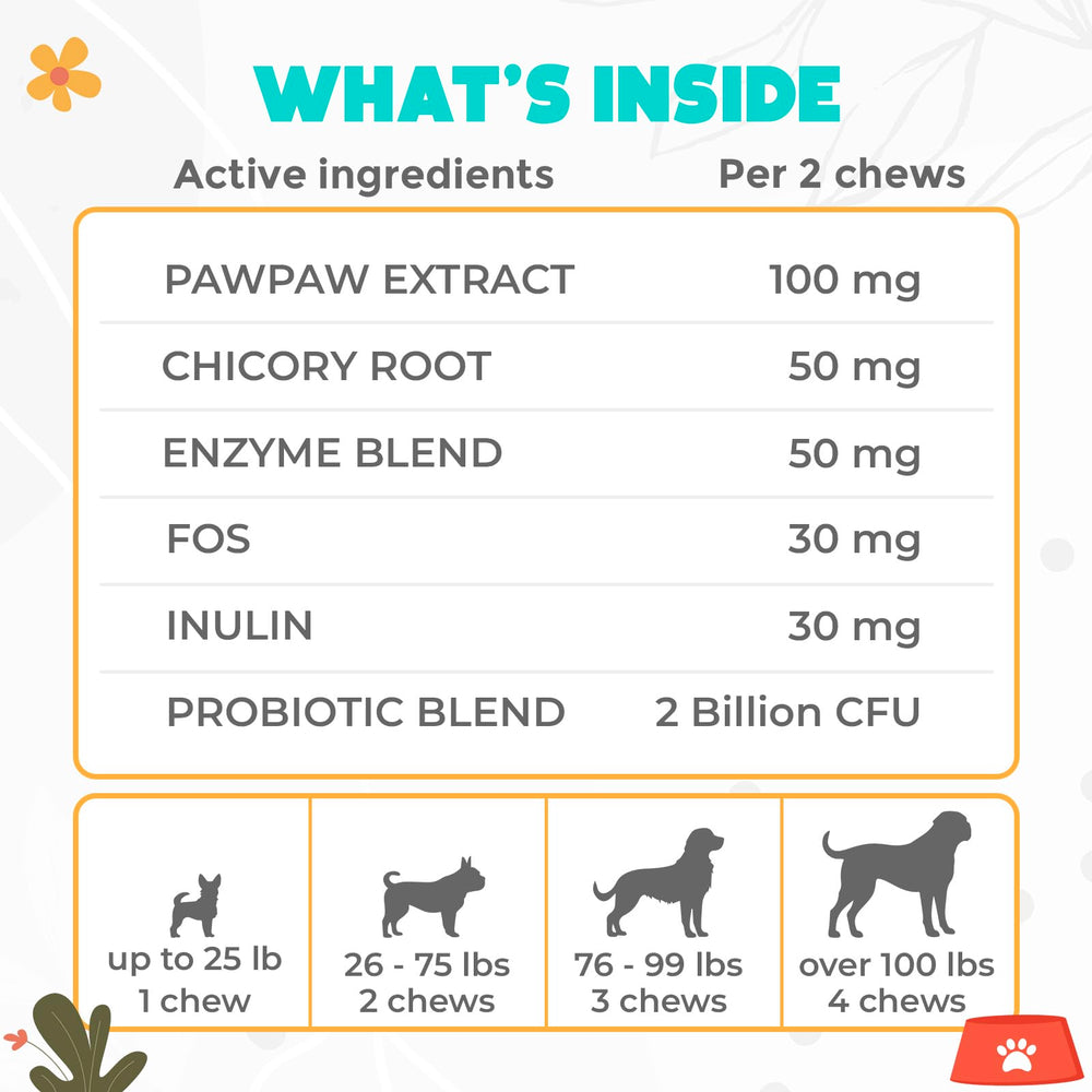 OKKÖBI Probióticos para perros: sabor calabaza vegano, opción adecuada para gustos variados.