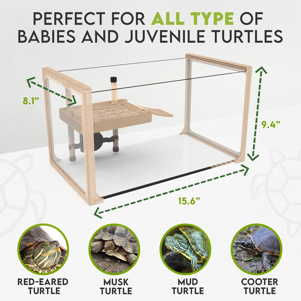 OKKÖBI Turtle Aquarium Kit glass panels allow easy viewing and cleaning