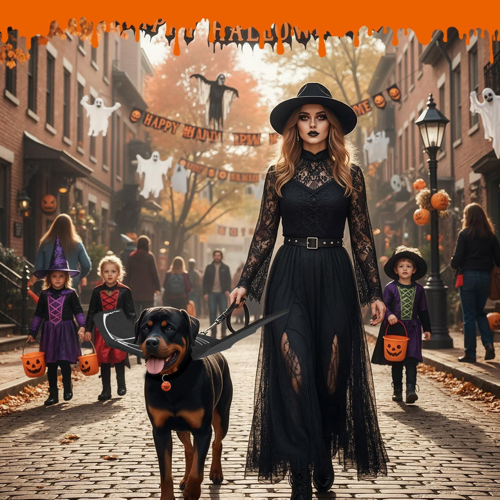 OLANRUN bat-wings-on-dog hero-look captures attention at events and gatherings.