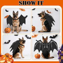 OLANRUN chest-strap secure-fit design helps wings stay in place during walks and events.