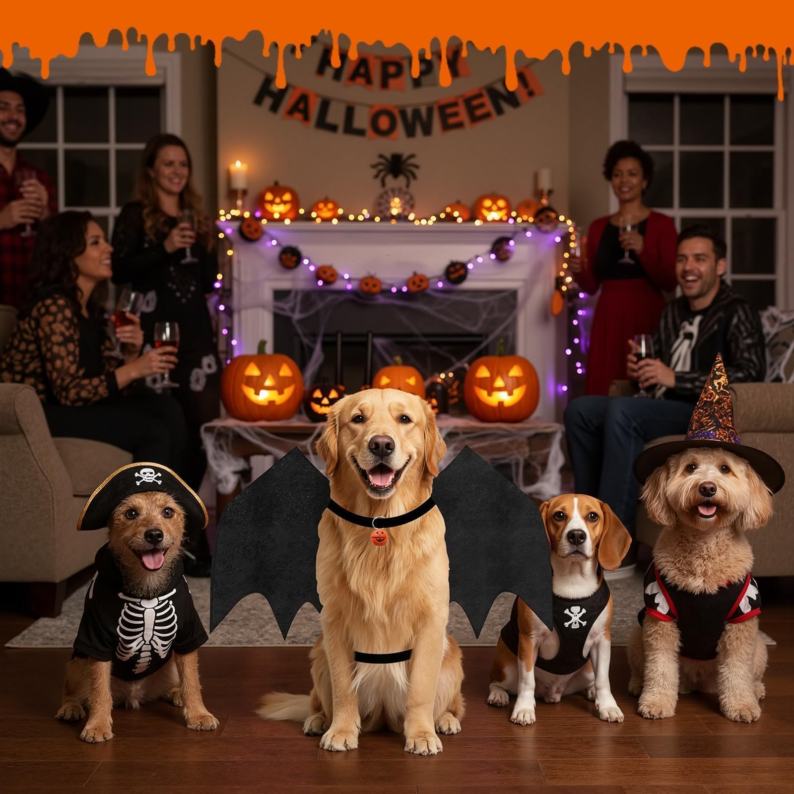OLANRUN parade-ready look makes Halloween and pet parades extra memorable.