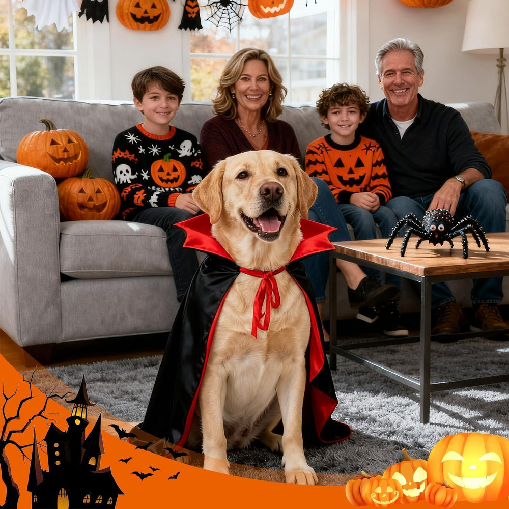 OLANRUN witch cosplay cape on dog for playful Halloween dress-up