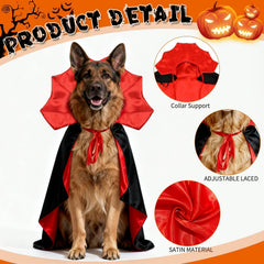 OLANRUN wizard outfit on dog for festive cosplay and photo ops