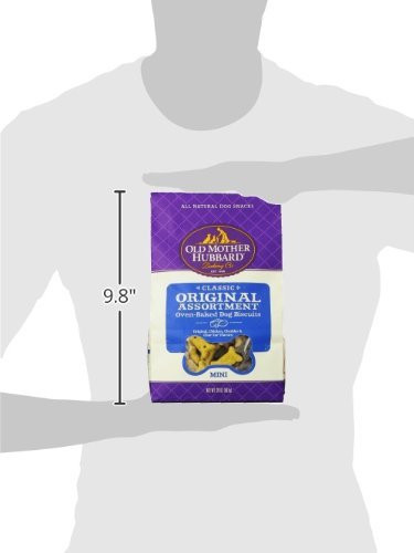 Old Mother Hubbard Crunchy Classic treat enjoyed during playtime.