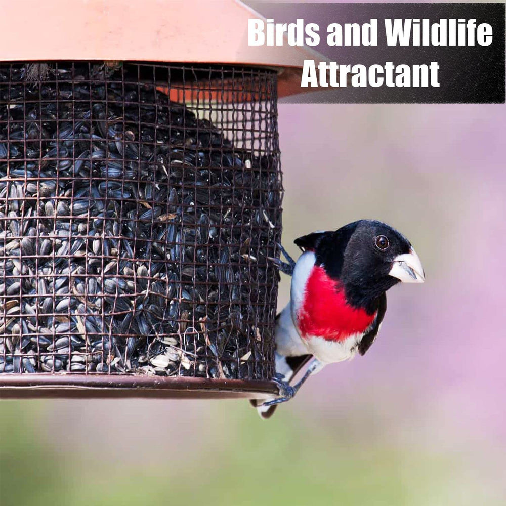 Birds feeding on Old Potters Wildlife black oil sunflower seeds at a feeder