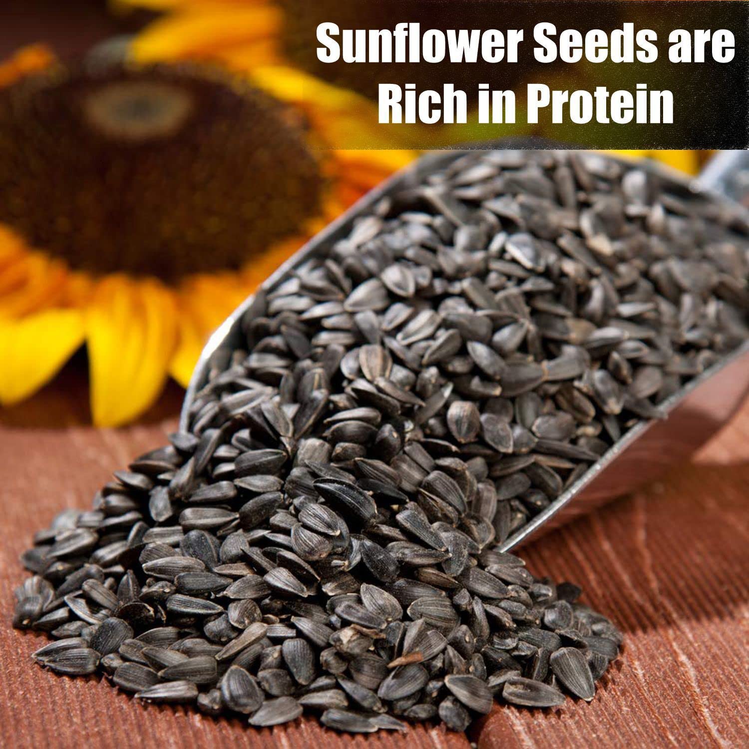 Seed source shown as coming from small US farms for Old Potters Wildlife