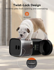Olelica voice call feature catches pet's attention at mealtime.