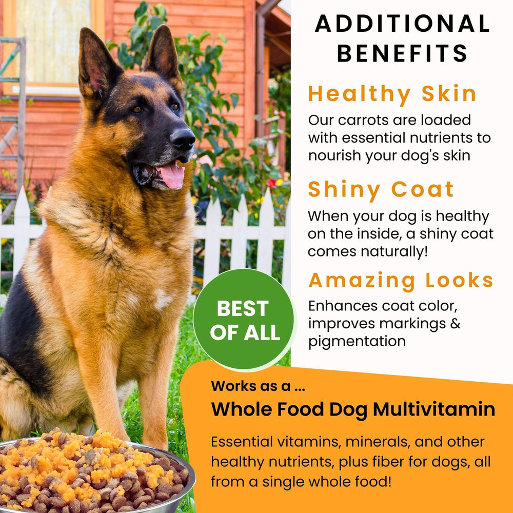 Olewo Original Carrots 2.2-lb-packaging close-up signals long-term feed for dogs.