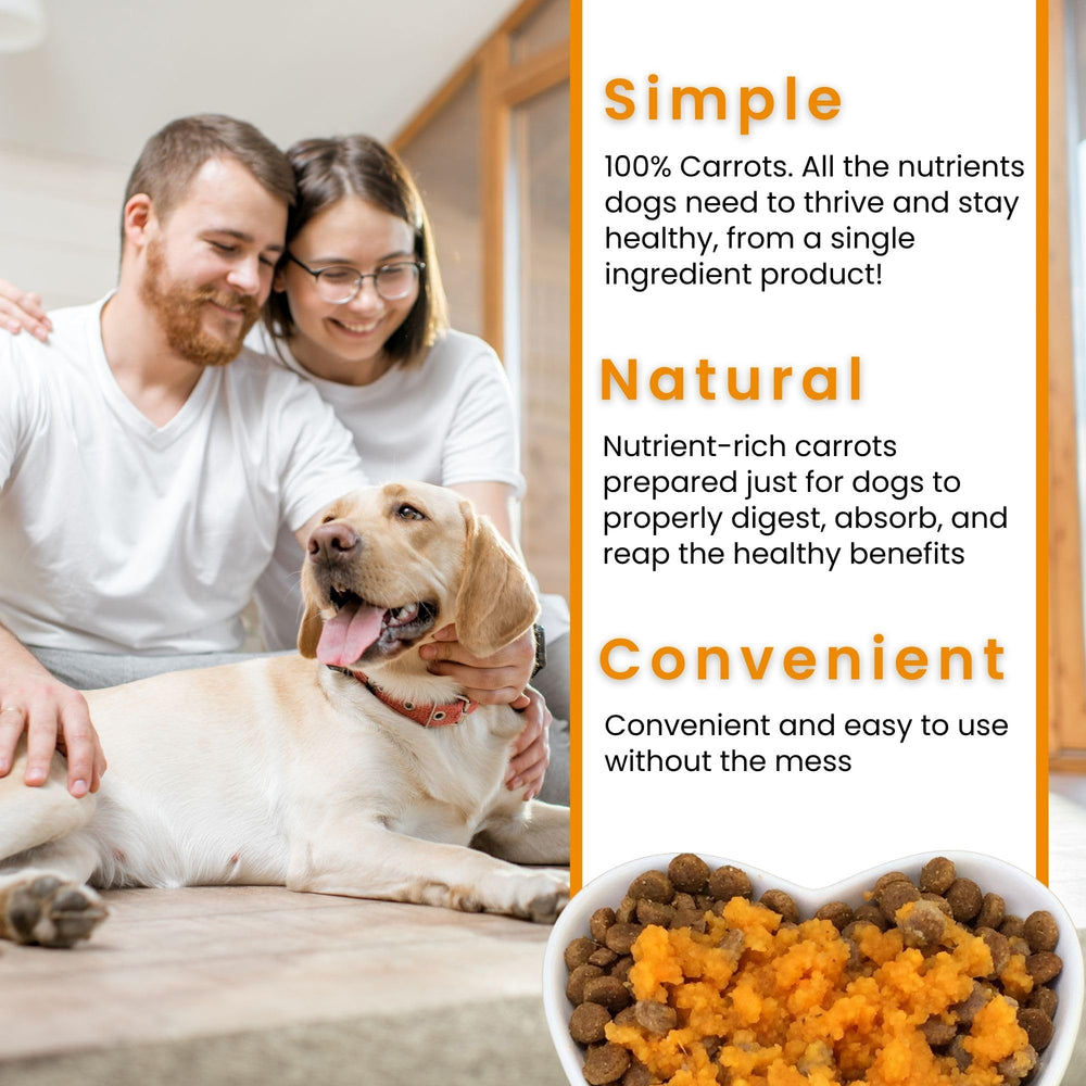 Olewo Original Carrots coat-shine close-up highlights skin and coat support in dogs.