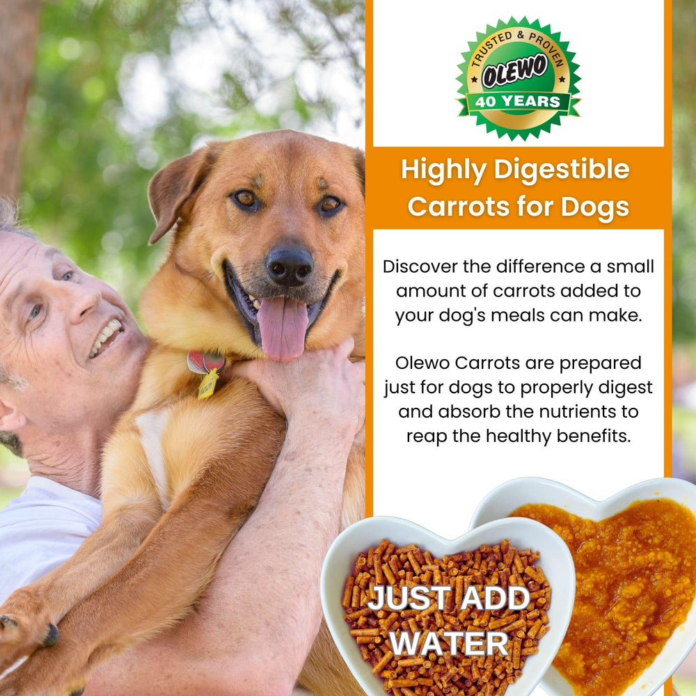 Olewo Original Carrots dehydrated-texture closeup communicates a single-ingredient, natural dog food topper.