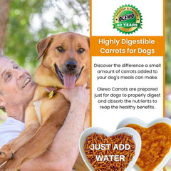 Olewo Original Carrots dehydrated-texture closeup communicates a single-ingredient, natural dog food topper.