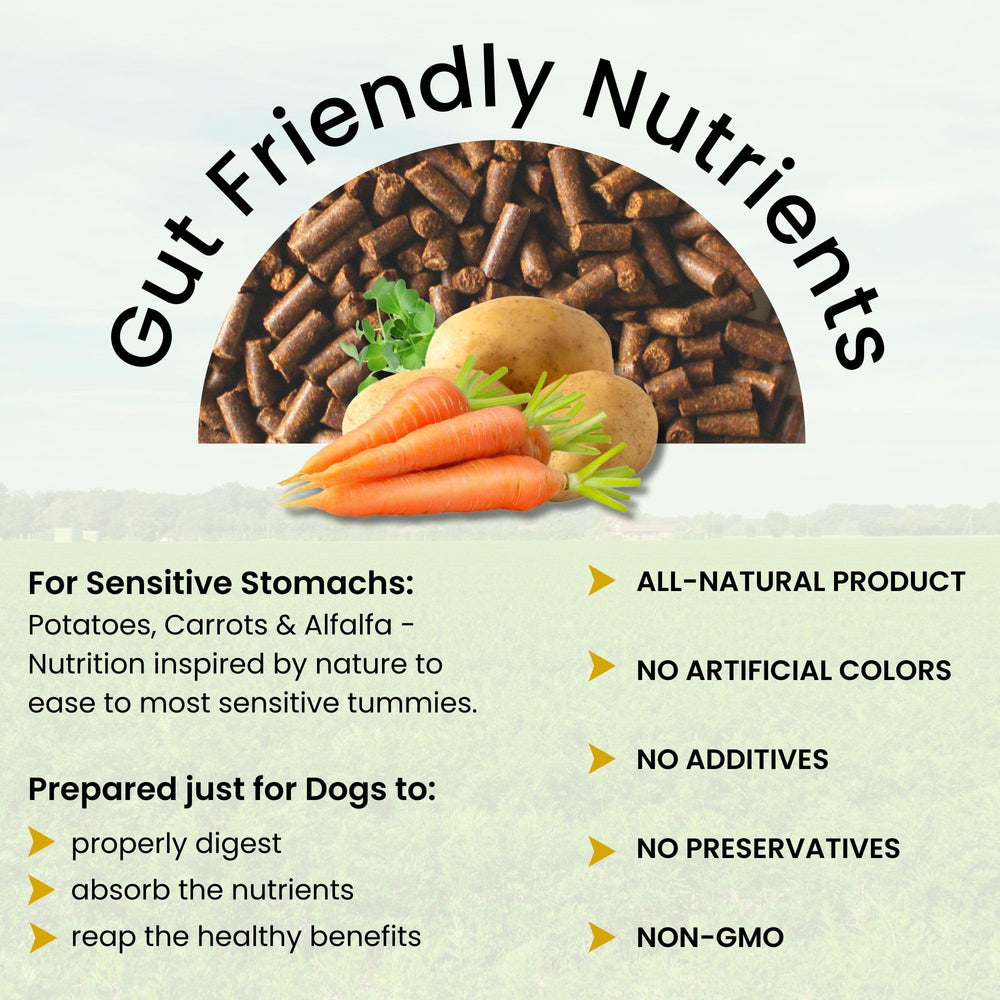Olewo Rootsies dog food topper aids gut health with prebiotic fiber.