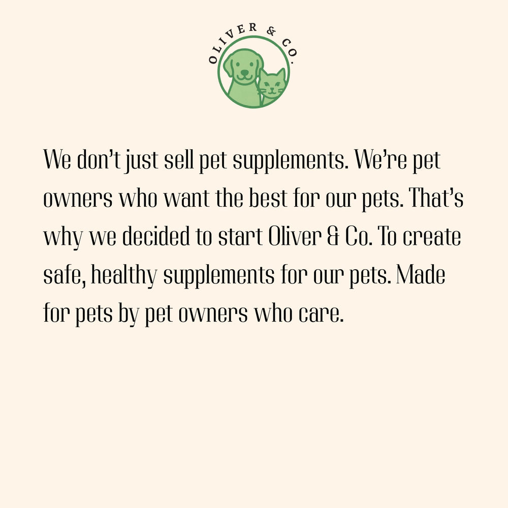 Oliver and Co collagen for dogs active lifestyle shot highlights daily wellness benefits