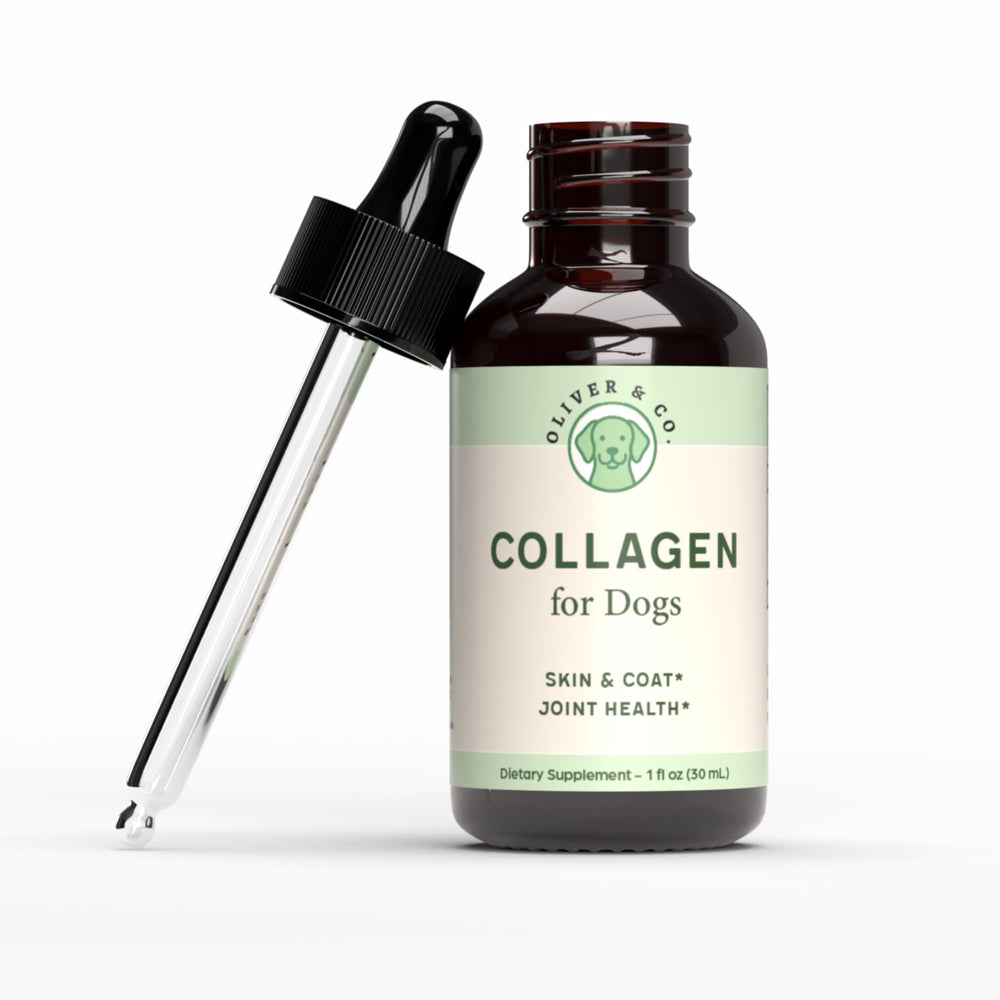 Oliver and Co collagen for dogs bottle pour highlights joint support and mobility
