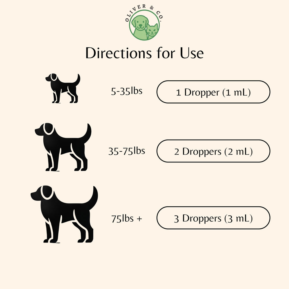 Oliver and Co collagen for dogs joint mobility action shows active, flexible aging