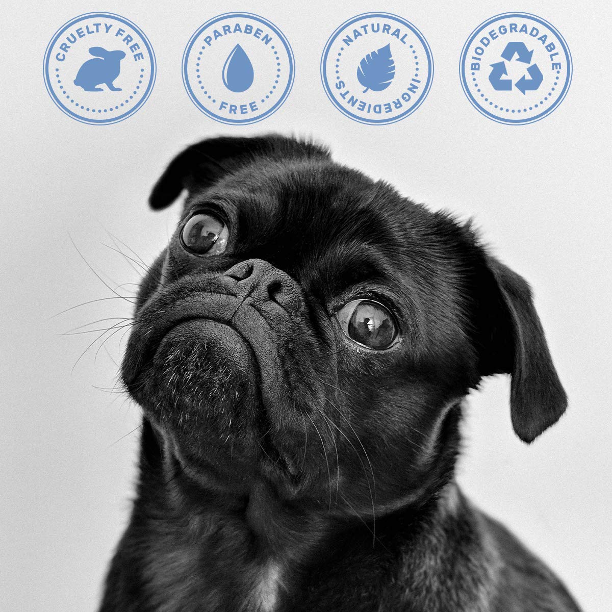 OLIVER'S CHOICE champú para perros: aroma fresco que perdura entre baños.