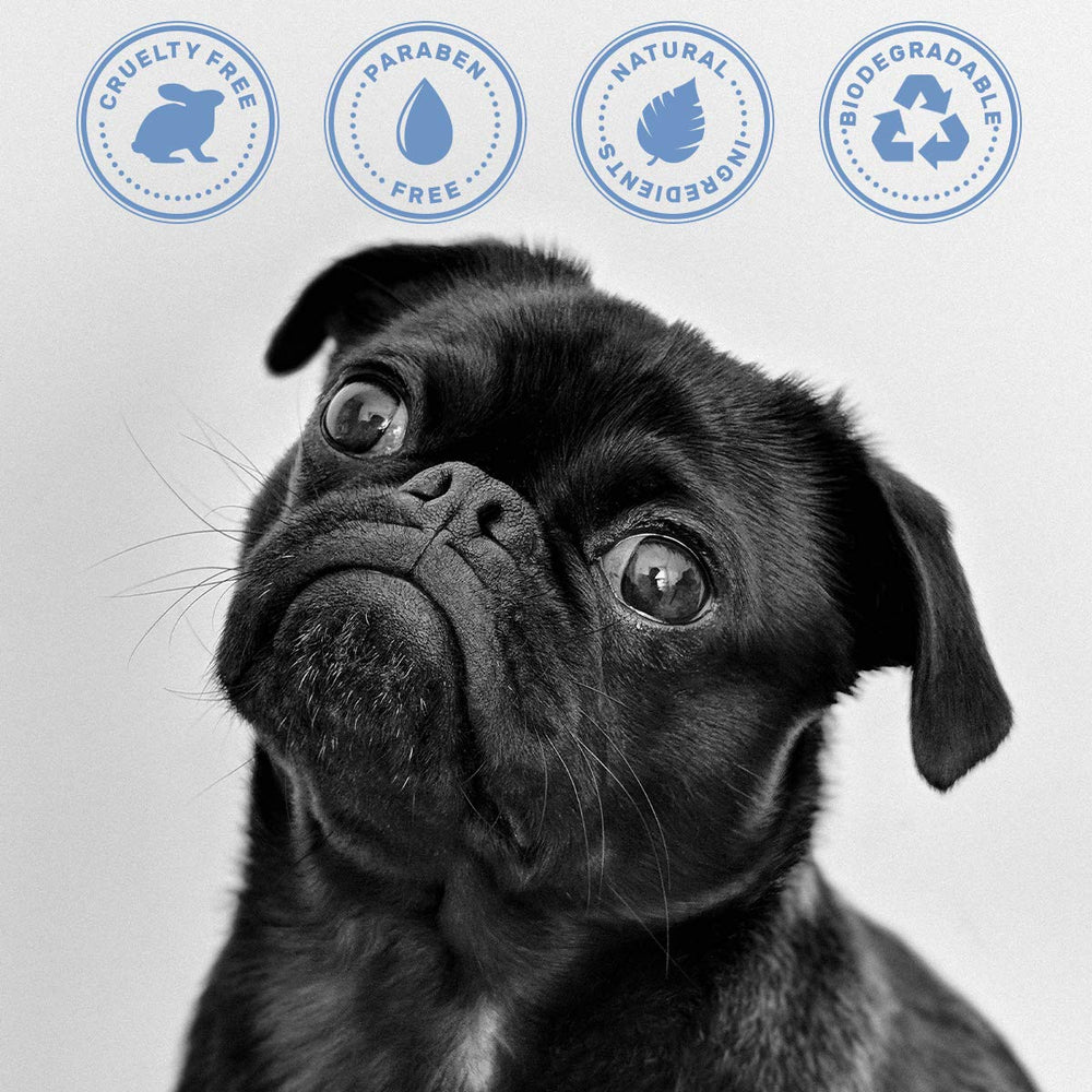 OLIVER'S CHOICE champú para perros: aroma fresco que perdura entre baños.