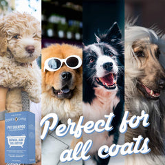 OLIVER'S CHOICE champú para perros: pelaje brillante y suave tras el lavado.