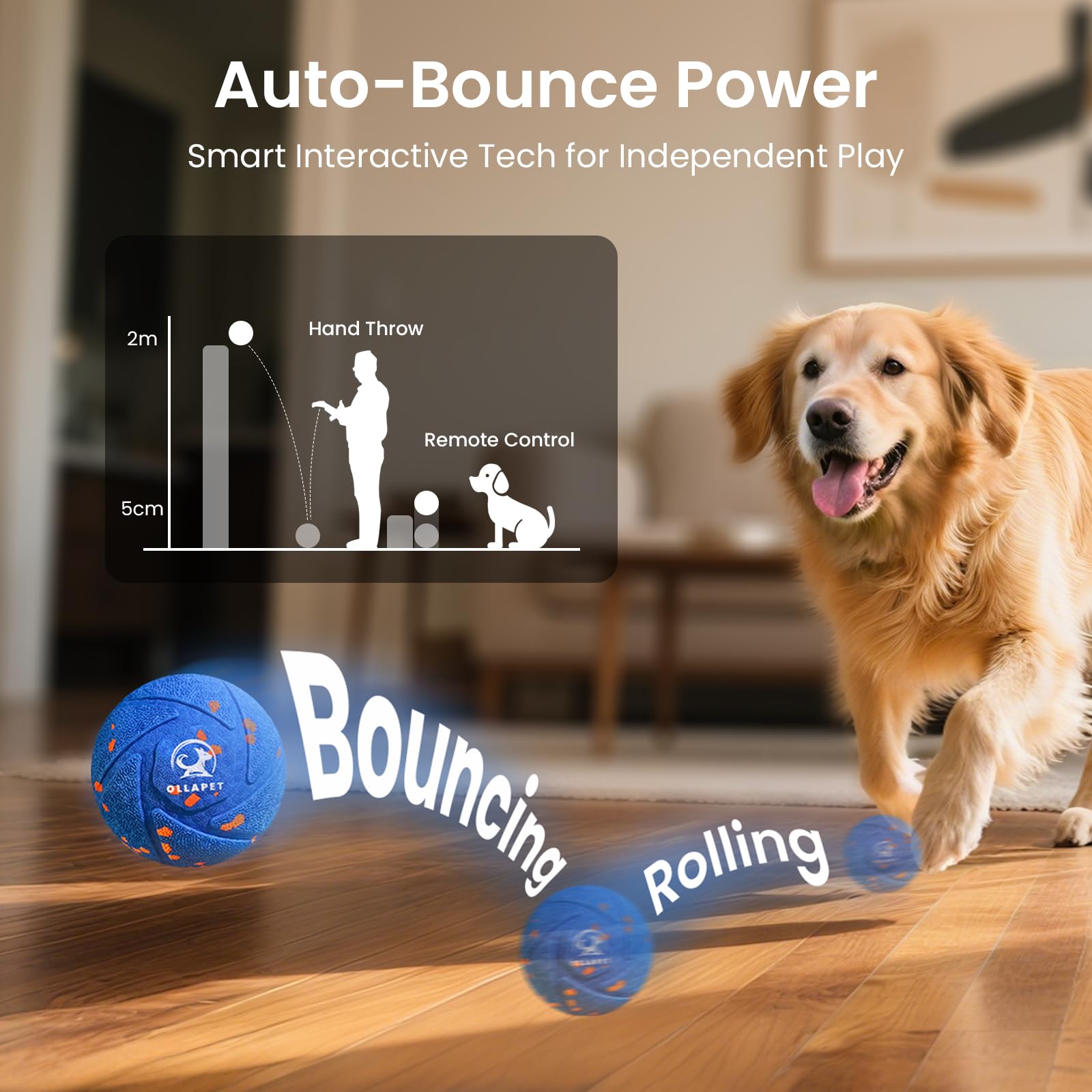 Ollapet regular-mode ball shows gentle rolling for calm activity.