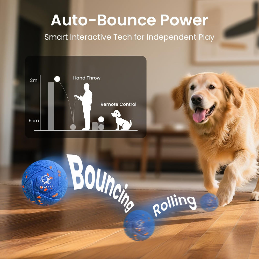 Ollapet regular-mode ball shows gentle rolling for calm activity.