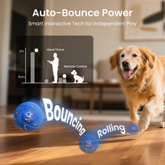 Ollapet regular-mode ball shows gentle rolling for calm activity.