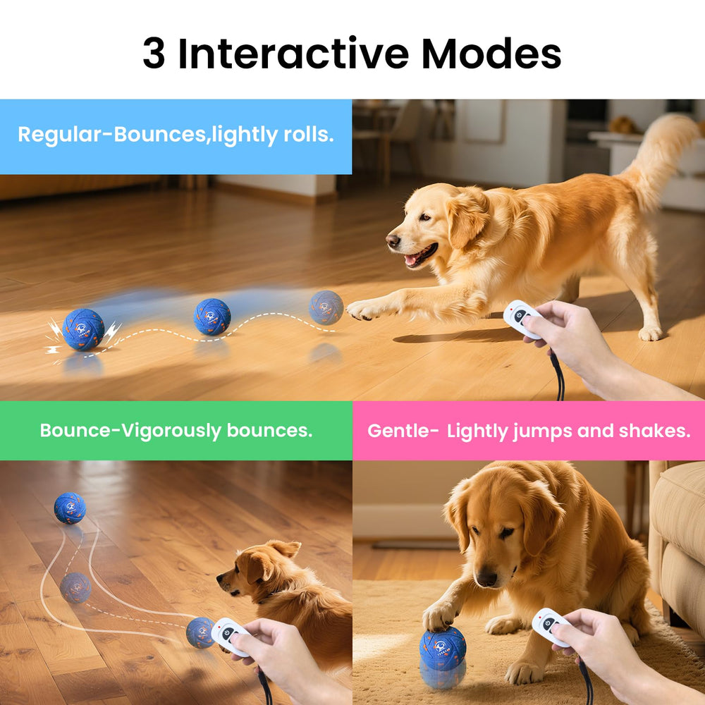 Ollapet remote-control ball lets you supervise from up to 25 feet.