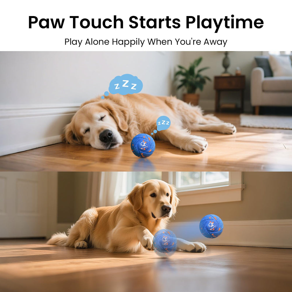 Ollapet ball remote-range-25ft supports play from across the yard.