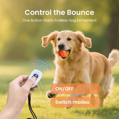 Ollapet Smart Ball in Bounce mode vigorously bounces for energetic backyard play.