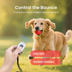 Ollapet IPX7 waterproof design for easy cleaning during outdoor play
