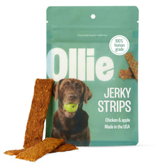 Ollie chicken-apple jerky pack 5oz front view highlighting healthy dog treats