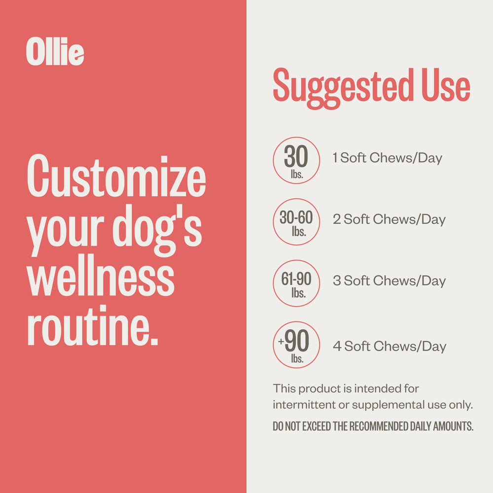 Ollie Chill Pills treats beside leash illustrating stress-free walks.