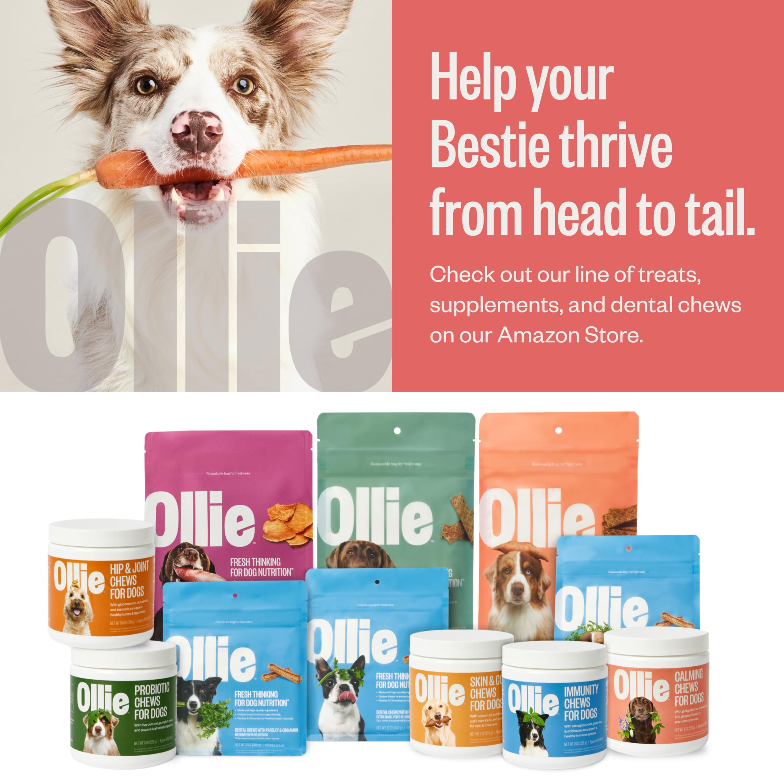 Ollie Chill Pills product shot highlighting natural ingredients.
