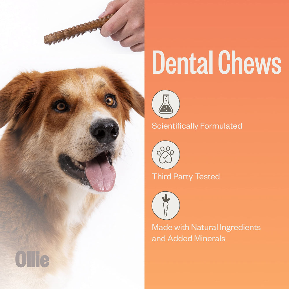 Ollie Dental Chews close-up shows parsley and cinnamon aroma.