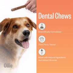 Ollie Dental Chews close-up shows parsley and cinnamon aroma.