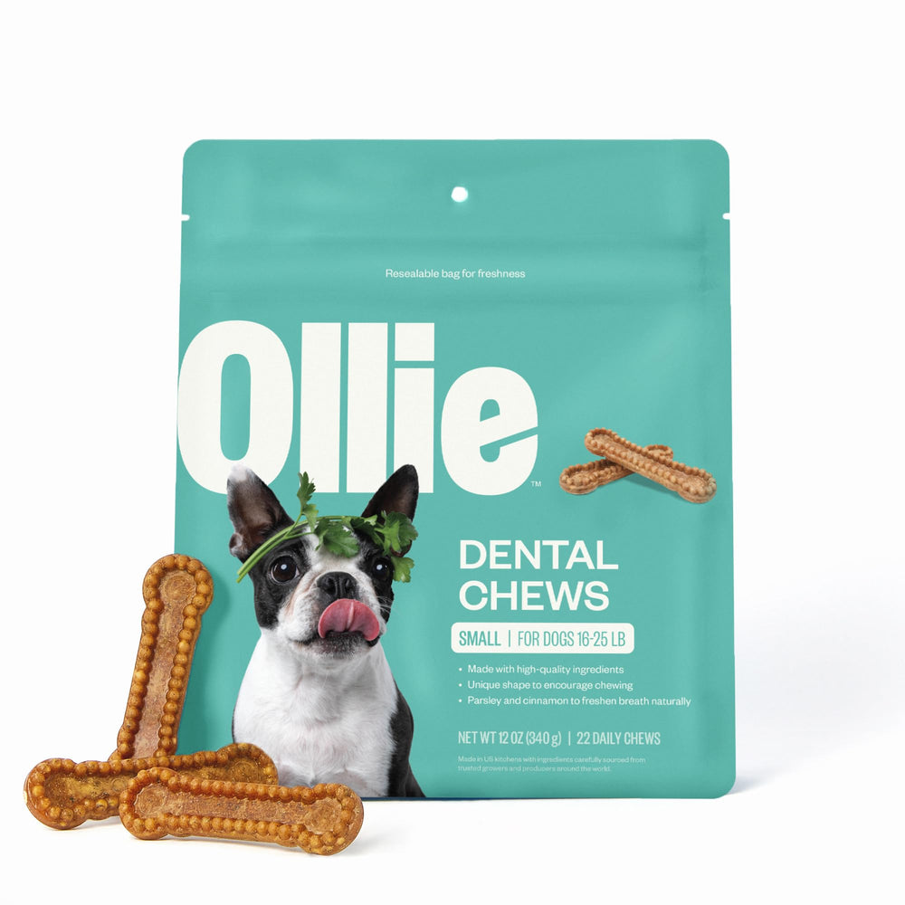 Ollie Dental Chews packaging highlights fresh breath benefits.