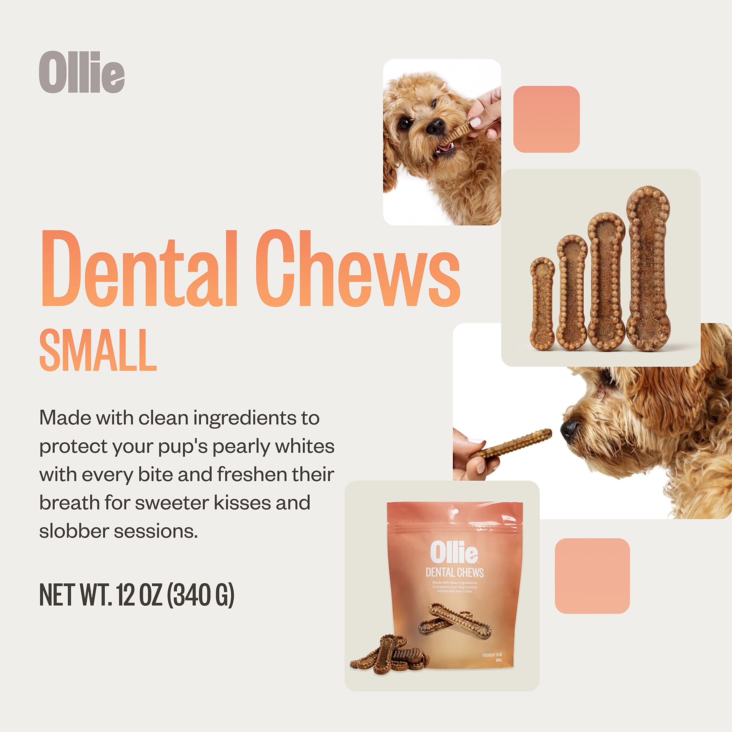 Ollie Dental Chews small-dog size display for 16-25 lb pups.
