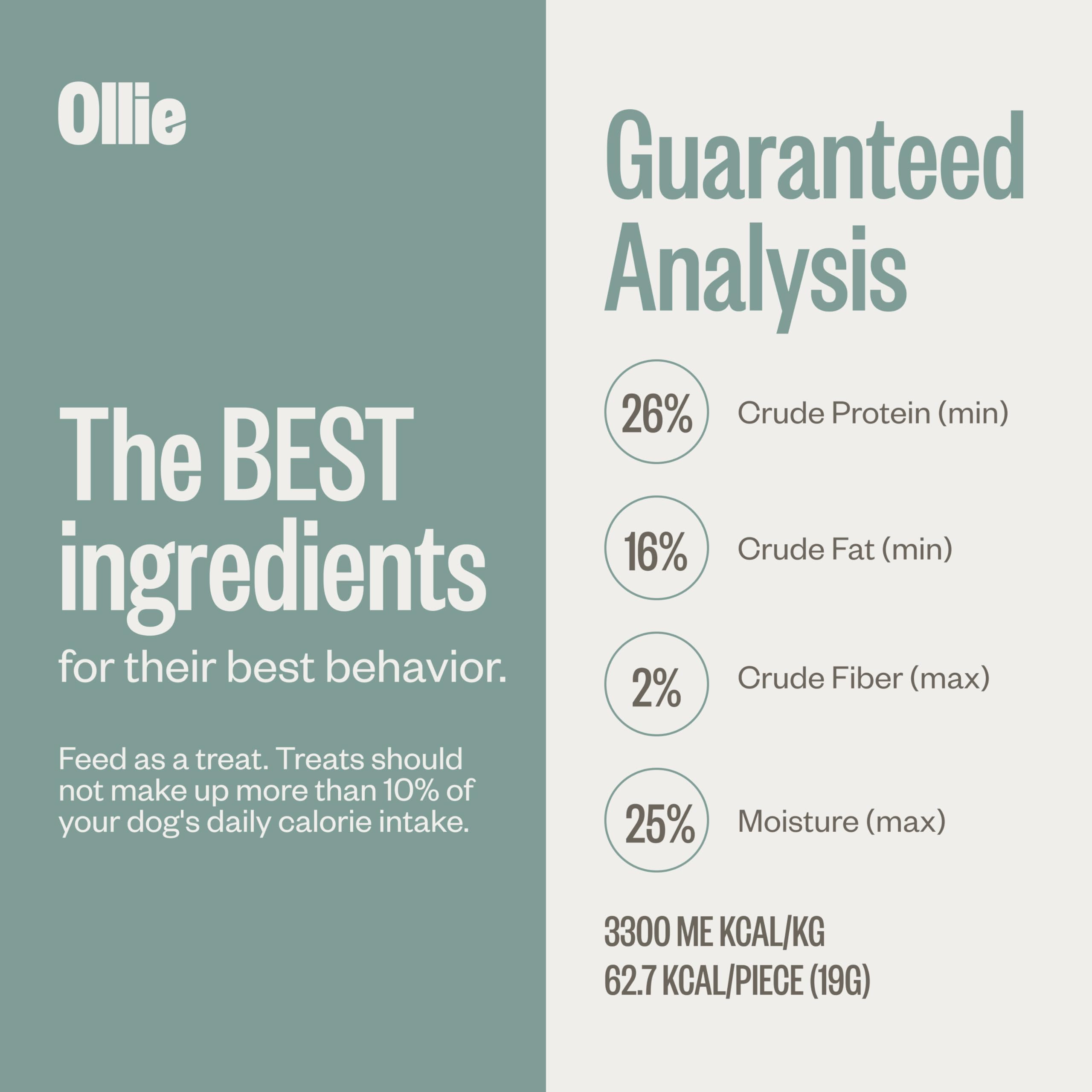 Ollie dog snack-time action shot capturing rewards during training or play