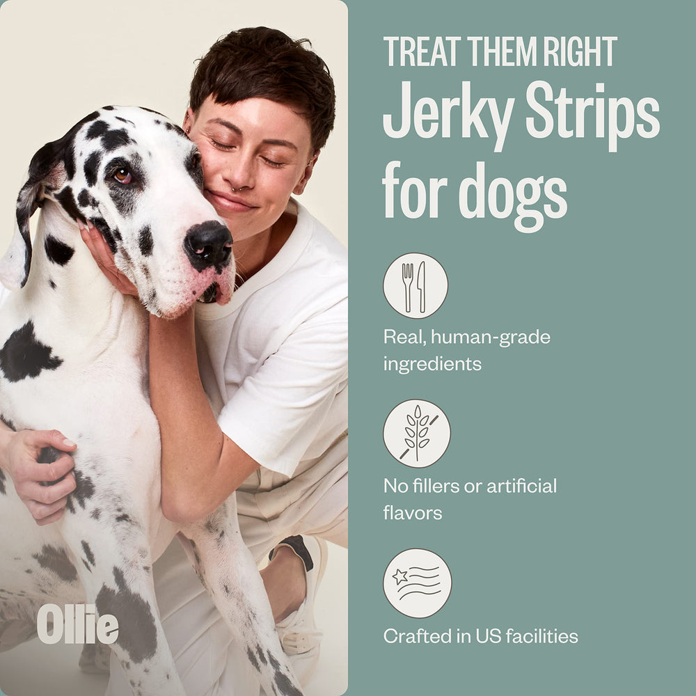 Ollie ingredients close-up showing real meat and simple components for dogs