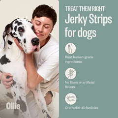 Ollie ingredients close-up showing real meat and simple components for dogs