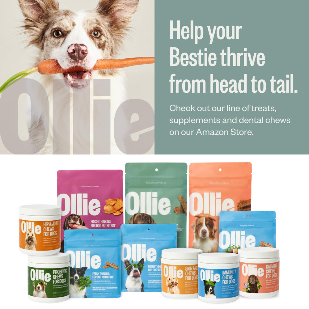 Ollie made-in-usa facility label close-up underscoring production quality