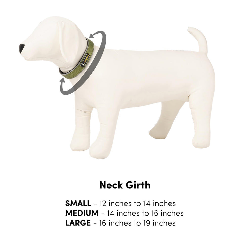 OllyDog collar in cactus woodgrain color adds bold, active-style aesthetic.