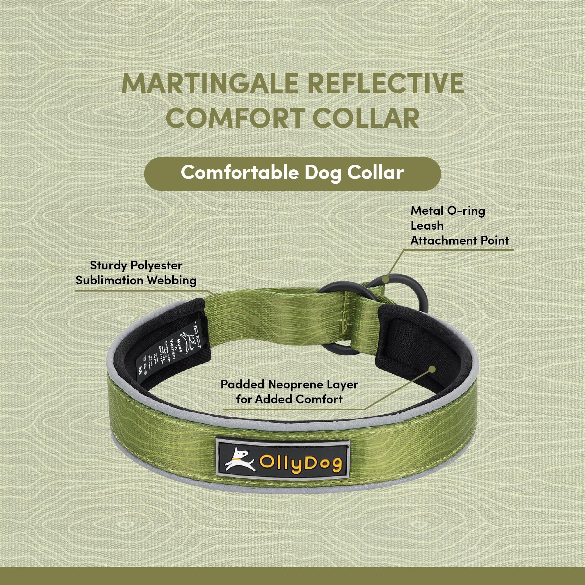 OllyDog collar demonstrates night visibility with reflective lining for evening use.