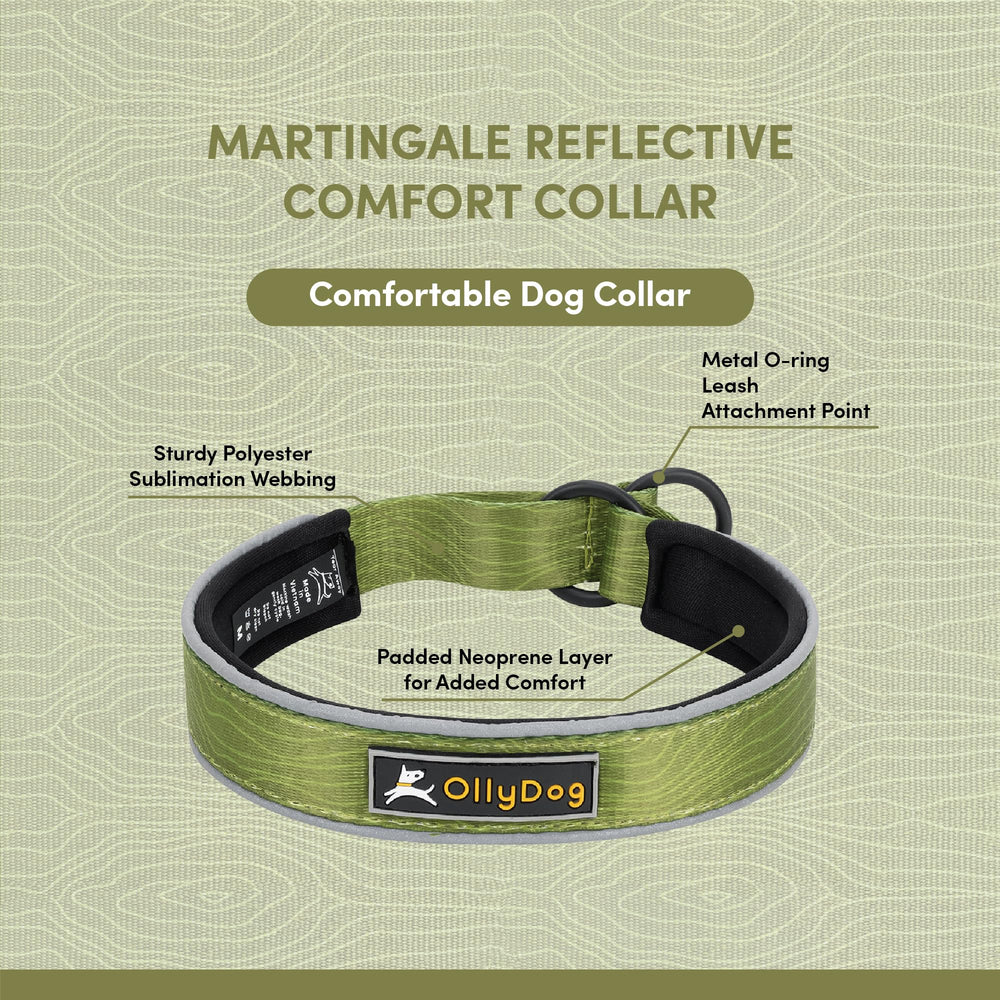 OllyDog collar demonstrates night visibility with reflective lining for evening use.