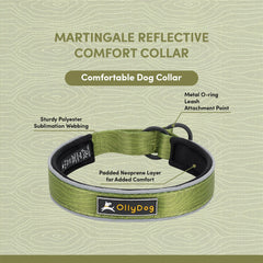 OllyDog collar demonstrates night visibility with reflective lining for evening use.