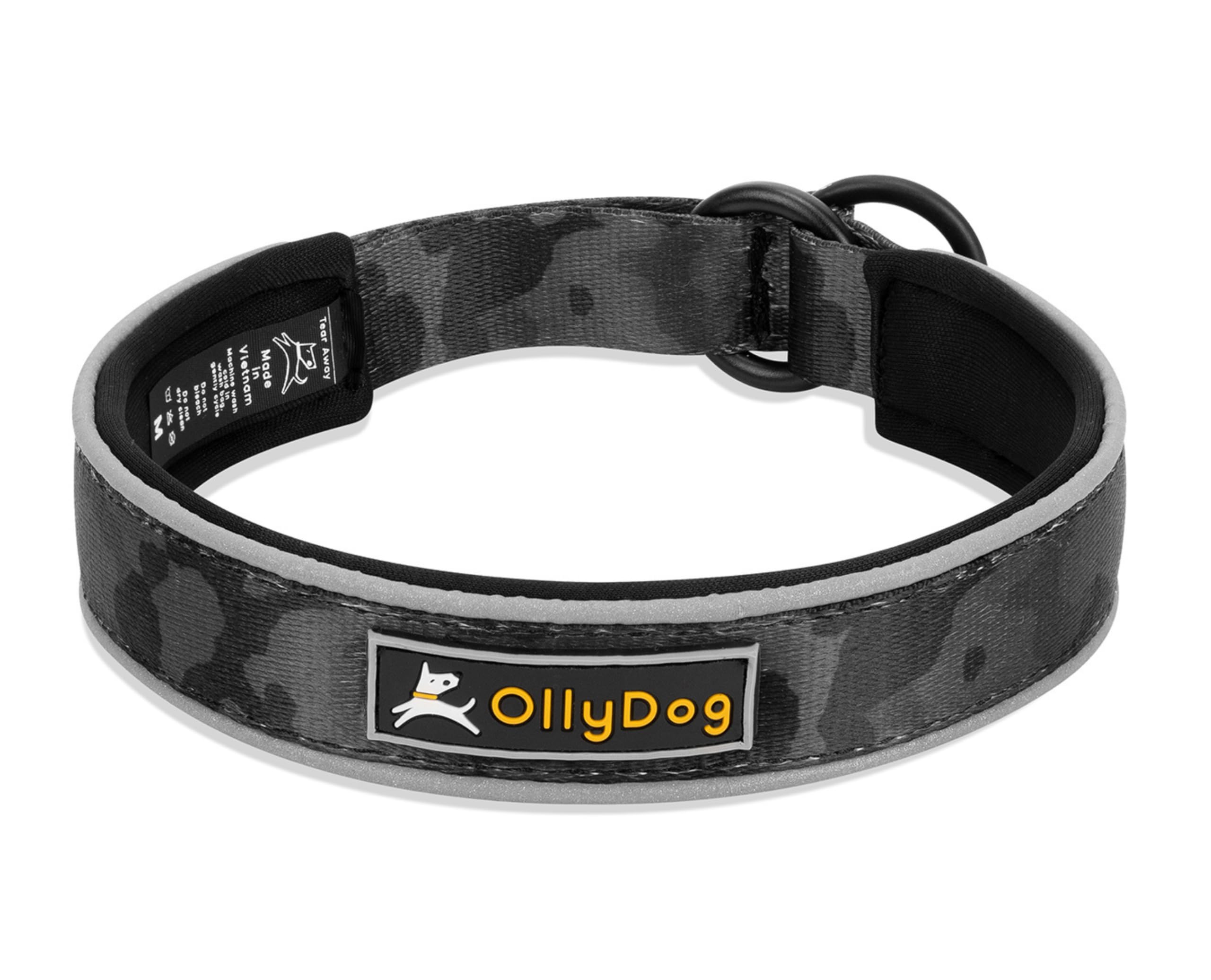 OllyDog Martingale collar side view shows durable construction for active dogs at dusk