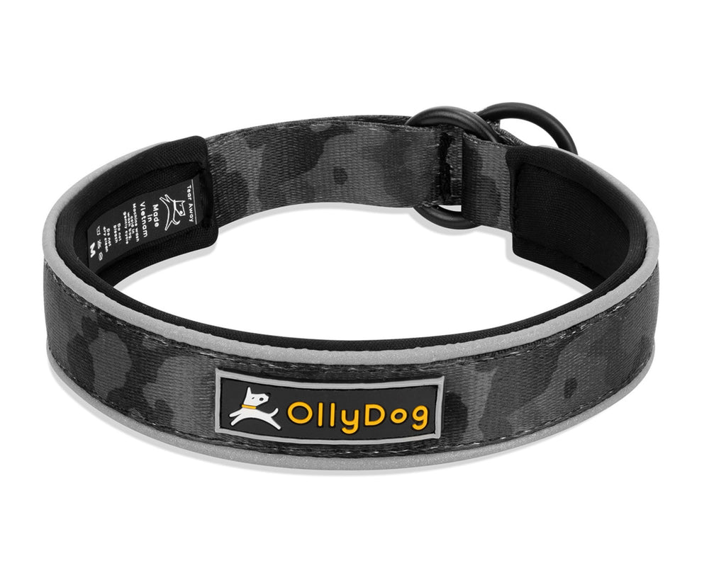OllyDog Martingale collar side view shows durable construction for active dogs at dusk