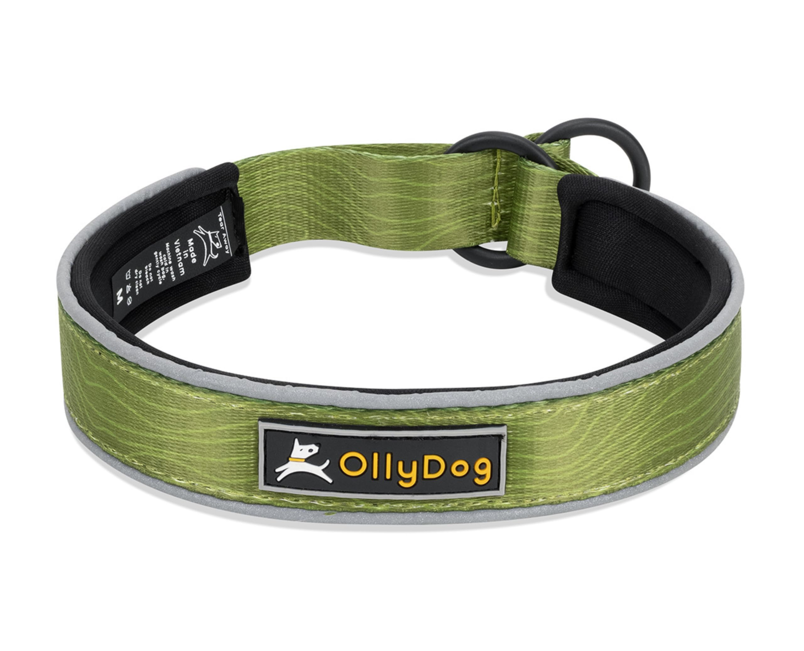 OllyDog Martingale Reflective Comfort Collar on a dog for secure control during walks.