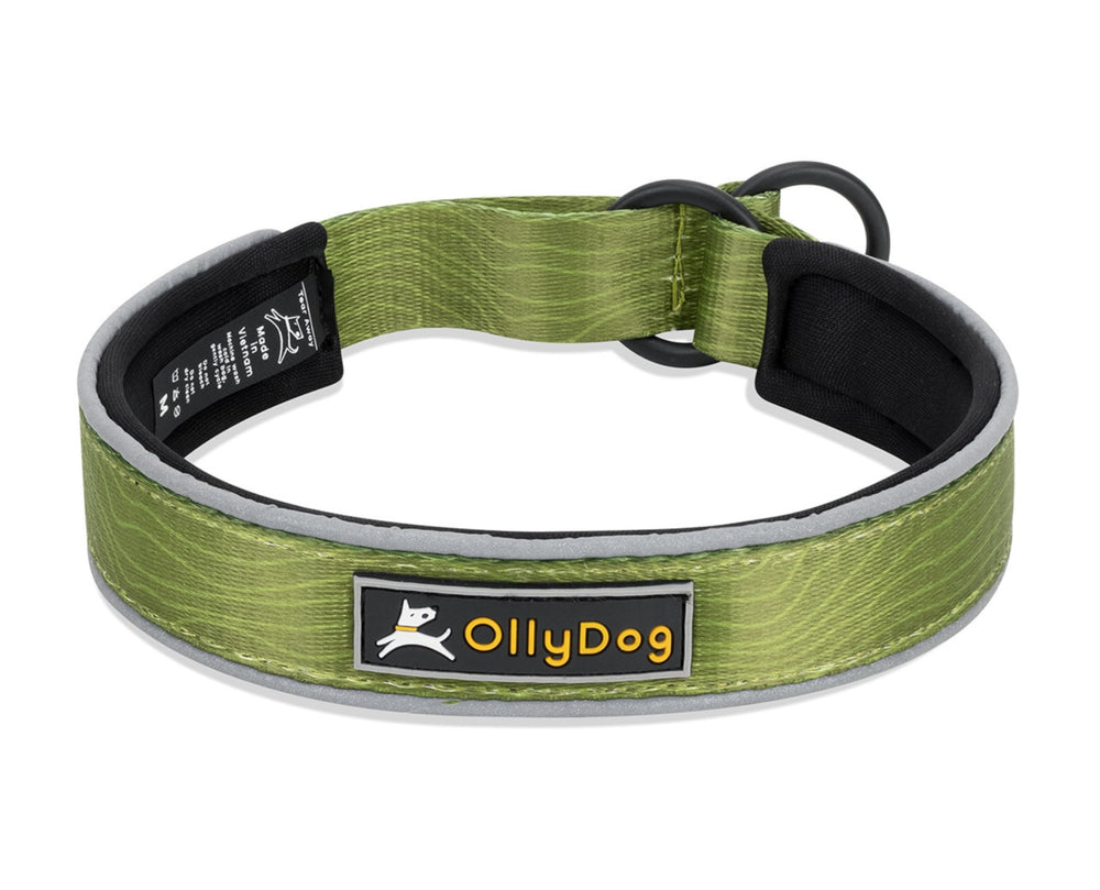 OllyDog Martingale Reflective Comfort Collar on a dog for secure control during walks.